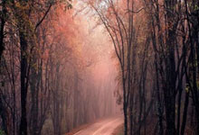 塞尔维亚战胜黑山，士气如虹，王者之师的荣耀征途