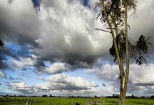 巴萨主场不败纪录遭终结，遗憾失利，诺坎普的叹息与未来的曙光