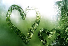 莱纳效力宏达柏尔茨，赢得重大比赛：新王者的崛起与荣耀之路