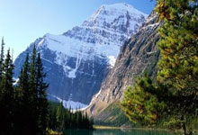 莱纳效力宏达柏尔茨，赢得重大比赛：新王者的崛起与荣耀之路