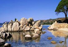 莱纳效力宏达柏尔茨，赢得重大比赛：新王者的崛起与荣耀之路