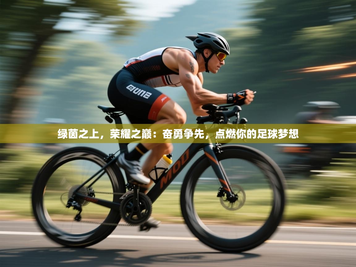 绿茵之上，荣耀之巅：奋勇争先，点燃你的足球梦想  第1张