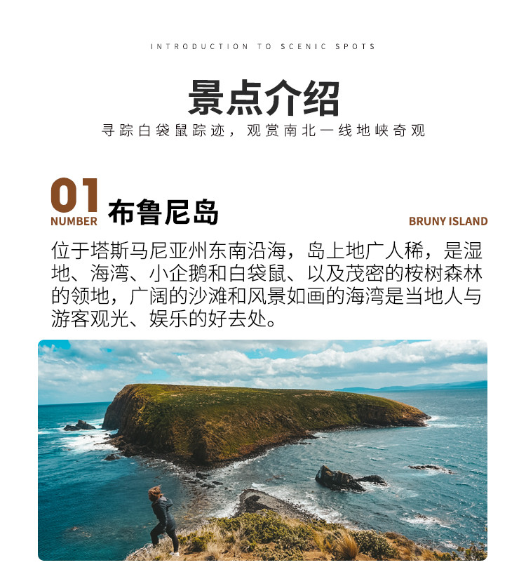 塔斯马尼亚联赛前发布会：全队信心满满迎战西雅图海湾者的简单介绍
