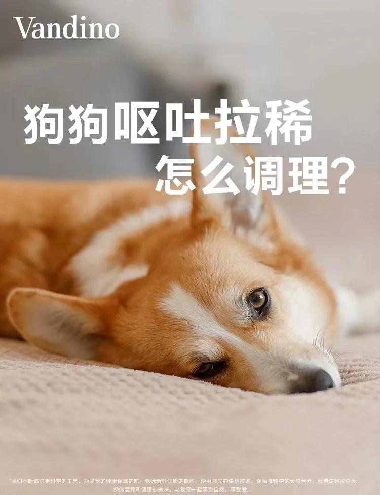 爱体育平台-东契奇6月起实行间歇性禁食饮食计划，减少炎症&amp;提升恢复